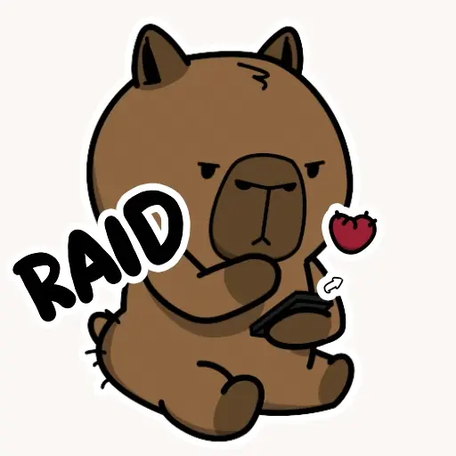 Raid